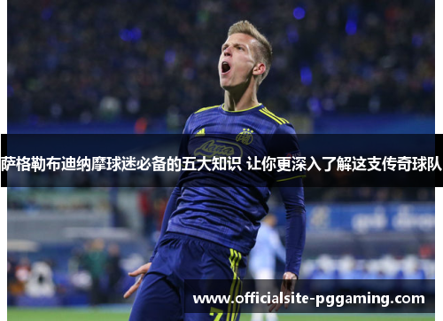 萨格勒布迪纳摩球迷必备的五大知识 让你更深入了解这支传奇球队
