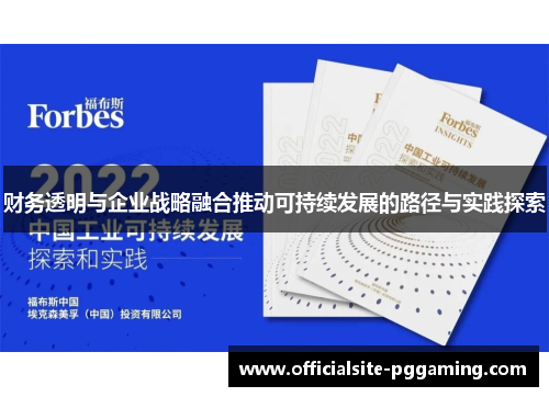 财务透明与企业战略融合推动可持续发展的路径与实践探索