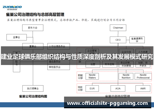 建业足球俱乐部组织结构与性质深度剖析及其发展模式研究