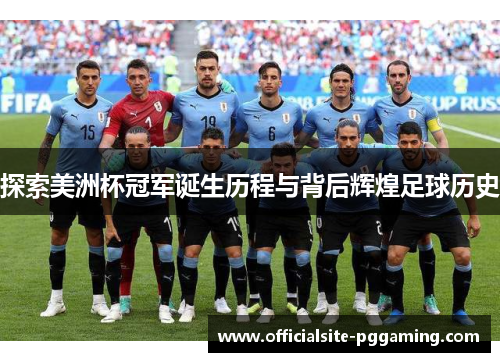探索美洲杯冠军诞生历程与背后辉煌足球历史