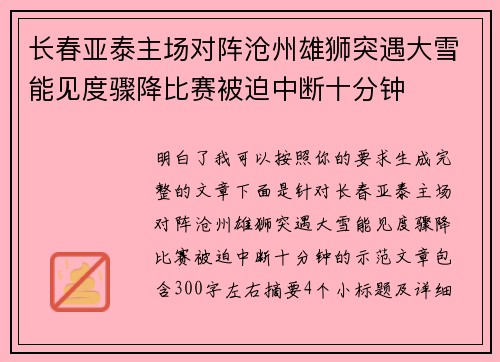 长春亚泰主场对阵沧州雄狮突遇大雪能见度骤降比赛被迫中断十分钟