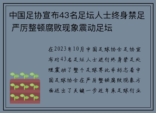 中国足协宣布43名足坛人士终身禁足 严厉整顿腐败现象震动足坛 中国足协宣布43名足坛人士终身禁足 严厉整顿腐败现象震动足坛